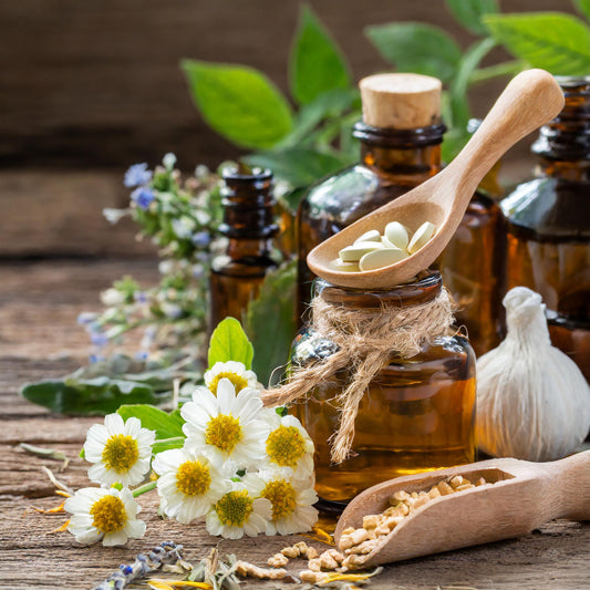 Herbal Supplements: Nature's Contribution to Well-Being